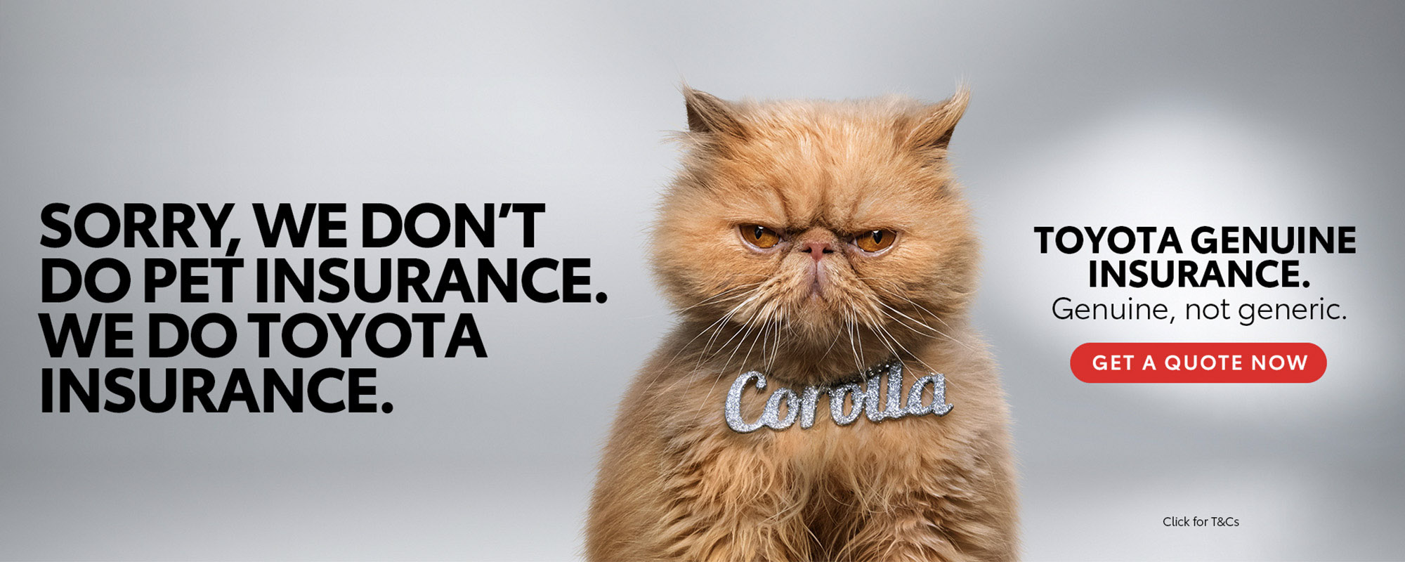 Hp Insurance Nov24 2000x800